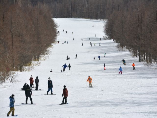 コース数が多く上質なパウダースノーが満喫できるスキー場！