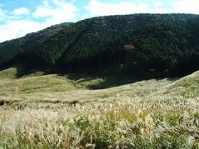 何度もリピートしてくださっている方もいる職場です！