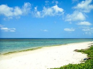 ＼沖縄らしいホテルでの勤務／未経験大歓迎♪フロントのお仕事！