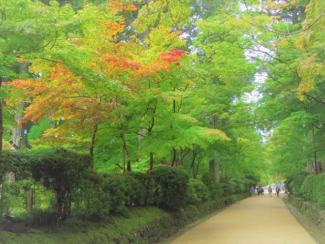 都会では味わえないマイナスイオン一杯の大自然を堪能できます☆