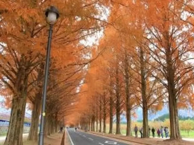 自然豊かな環境です☆