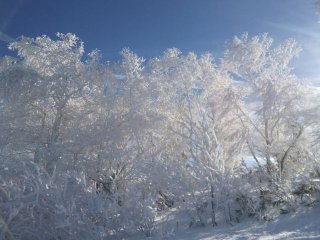 ≪高時給≫ご経験のある調理人さんの求人です☆