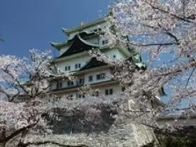 帰る前に浜松城に立ち寄ってみませんか？
歴史を感じられますよ・