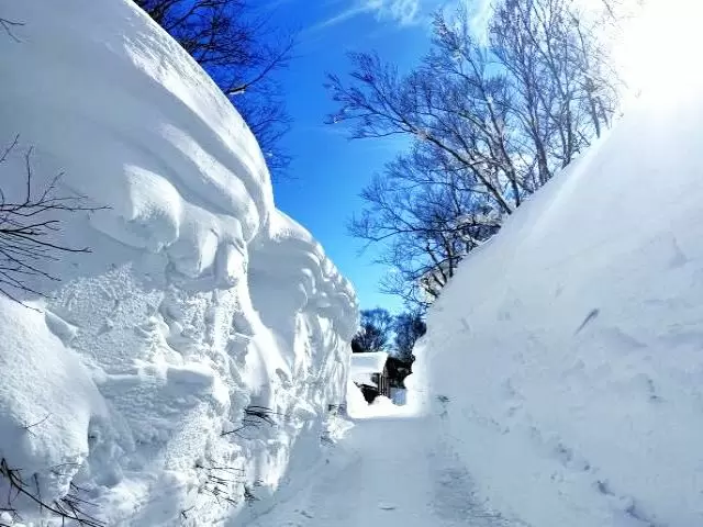 青森県の豪雪地帯でのお仕事☆