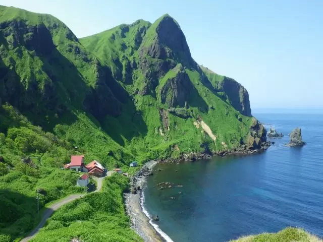 絶景の礼文島！最高のシーズンを過ごせます♪
