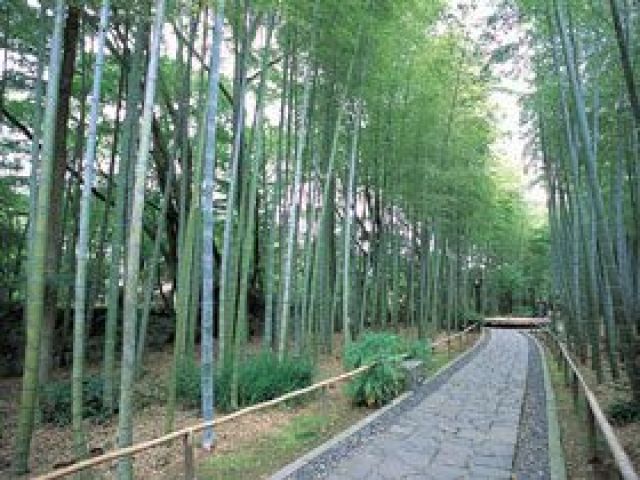 周辺には日帰りで行ける観光地もたくさんあります！