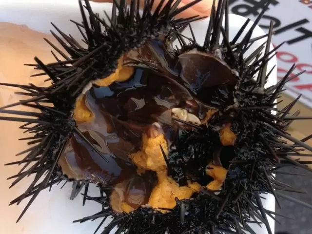 新鮮なうにもすぐ目の前で見られます。