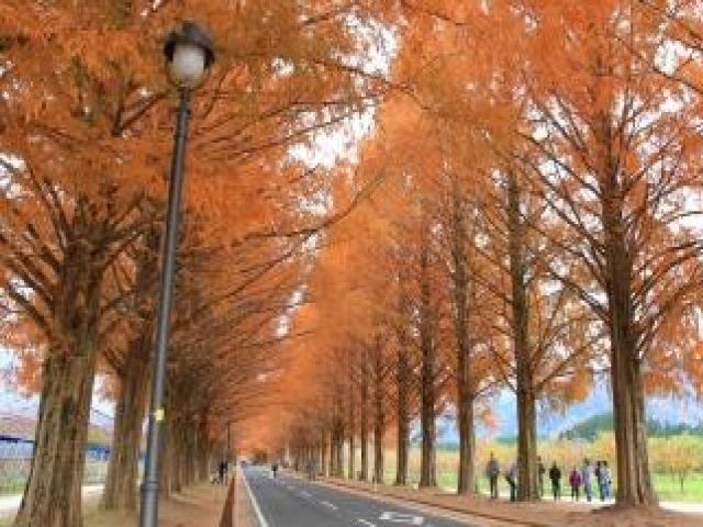 自然豊かな環境です☆