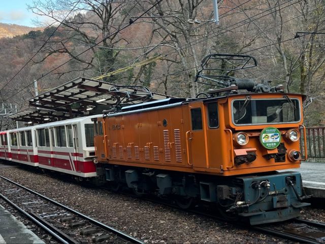トロッコ電車に乗って自然を満喫！