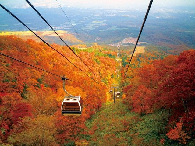 那須塩原には観光名所も沢山！
プライベートも充実します。