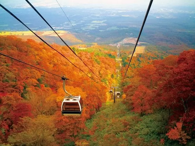 那須塩原には観光名所も沢山！
プライベートも充実します。