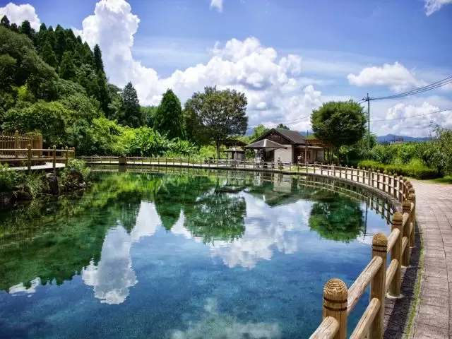 きれいな湧水を見ることもできますよ！