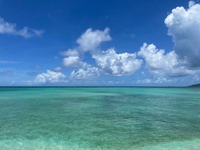 毎日、透明度の高いイラブブルーを望むことができます♪