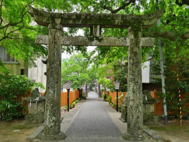 実は観光地がいっぱいあるんです！