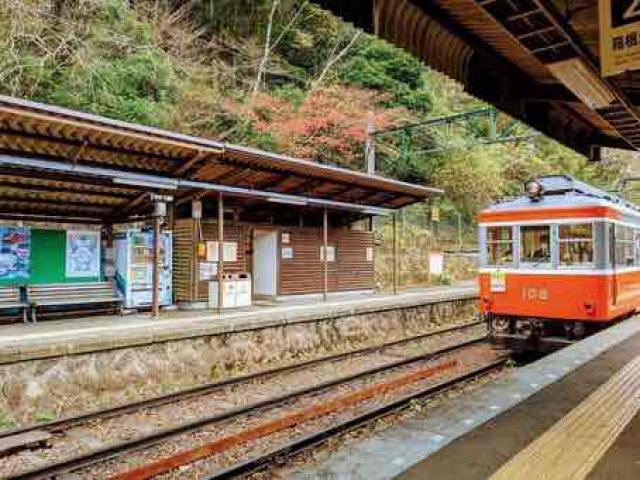 大人気の箱根エリア！