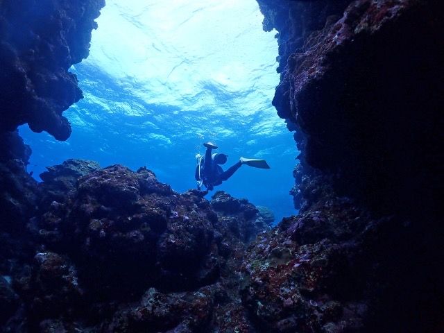 ミヤコブルーがアナタを待っている☆彡生活環境も良い求人です