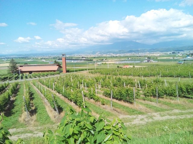 北海道の大自然溢れる十勝エリアでリゾバ(^^)/