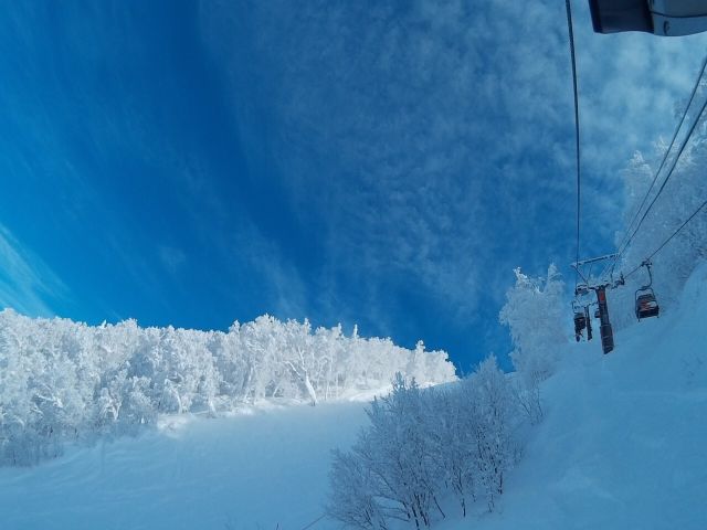 ふわっふわパウダースノー☆★