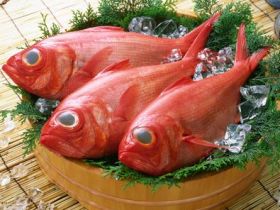 漁業が盛んな稲取。魚を捌ける方、経験生かせます！