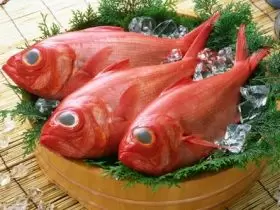 漁業が盛んな稲取。魚を捌ける方、経験生かせます！