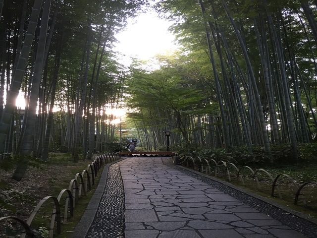 修善寺は伊豆の小京都と呼ばれているくらい景観が綺麗です