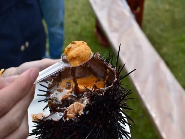 夏は昆布にウニが有名な島です