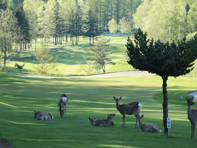 雄大な自然溢れる十勝エリアでのびのびリゾバ(^^)/星空も必見☆