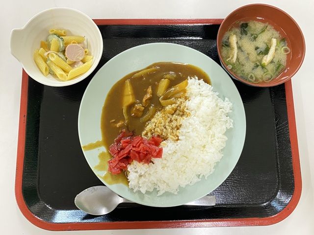 食堂で召し上がられたカレー♪観光では静岡と言えば【さわやか】のハンバーグは絶品ですよ～☆