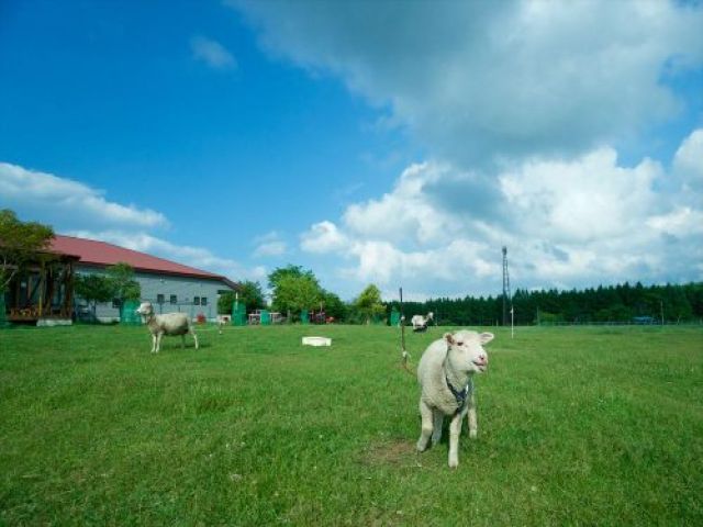 牧場でのお仕事はレア！通しシフトでON・OFFNのメリハリもばっちり！