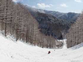 リフト券・レンタル無料！
休日にはガッツリ滑りにいこう♪