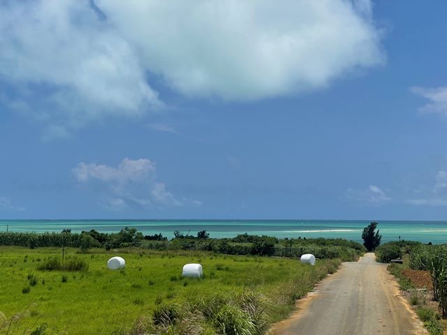 観光スポットもたくさんあるので、自分だけの特別な絶景を探すのもあり！