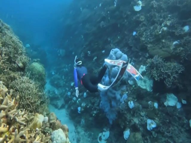 海に近いエリアなので、お休みの日も充実！