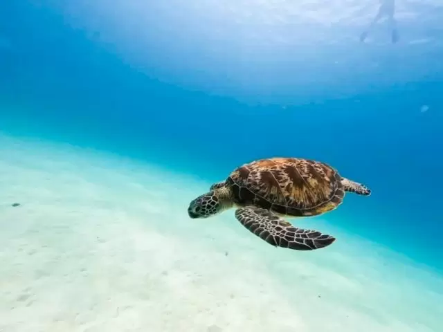 自分の時間もしっかり確保できるお仕事です(^^)
