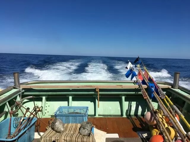 ここでしか経験できない漁業のお仕事です(^^)/