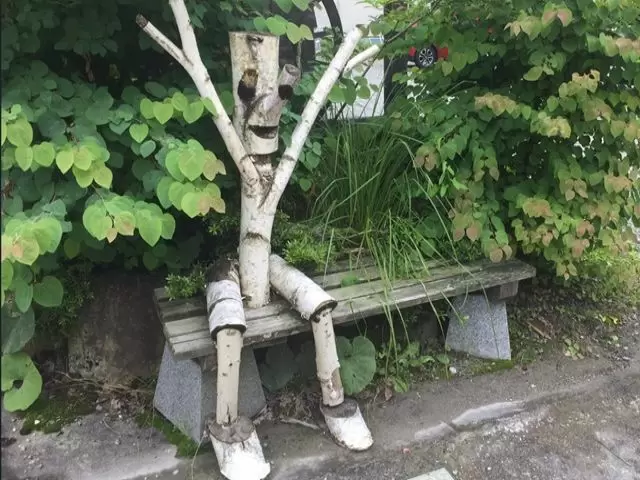 多くの方がこれまでご活躍されています。
岐阜で森林浴しながら仕事してみませんか？
