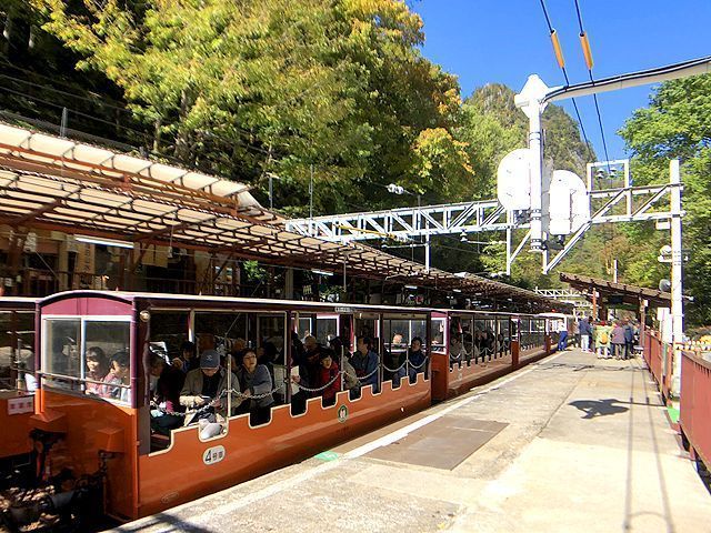 ～休日はトロッコ電車でお出かけも～
富山の自然を大満喫♪