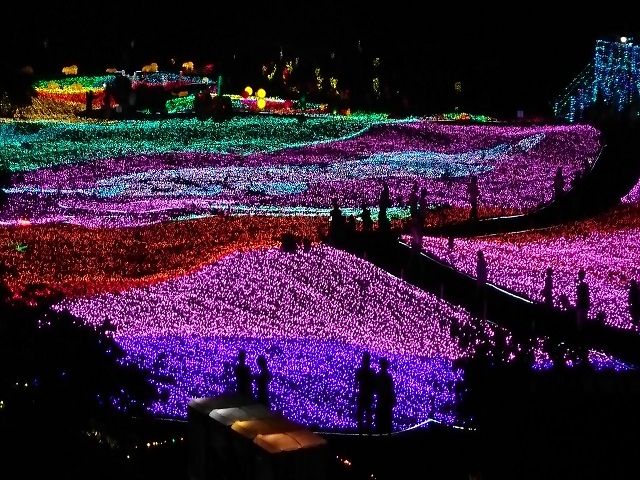 近くには観光できるエリアもたくさんあります★