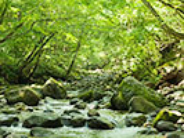 自然も沢山な環境でお仕事しましょう！