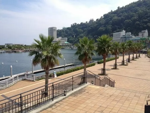 海近!