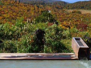 ≪貯金したい方必見♪≫温泉利用×住み込み×食事付の案件☆長期就業したい方大歓迎です！