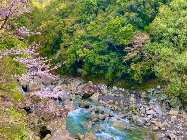 大自然に囲まれたところになります