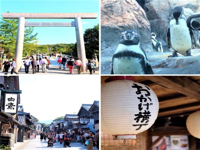 休日は観光三昧！