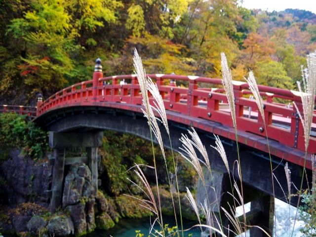 日光は観光地がたくさん！お休みの日は観光される方が多いです♪