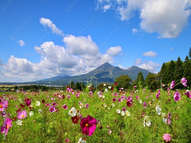 今回は通勤限定での案件になります。