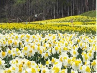 【稼ぎたい方必見】常に繁忙期の忙しい職場です！山籠もりして貯金をしたい方におすすめ！