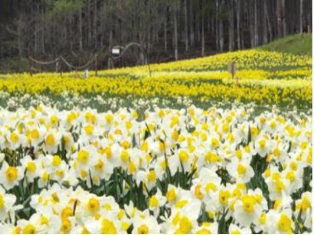 自然豊かな水上でのお仕事です！