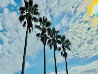 ☆指宿温泉【Wi-Fi付館内寮】南国指宿で調理補助のお仕事です！