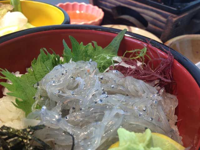 海鮮が絶品♪しらす丼がおすすめです♪