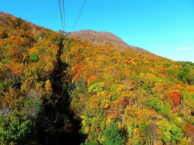 レアなロープウェイ施設での総務経理のお仕事です(^^)/