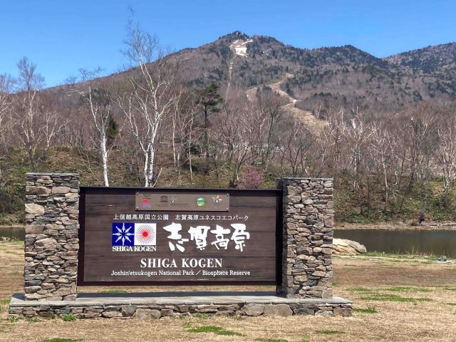 グリーンシーズンは快適な気温で過ごせるのが志賀高原！